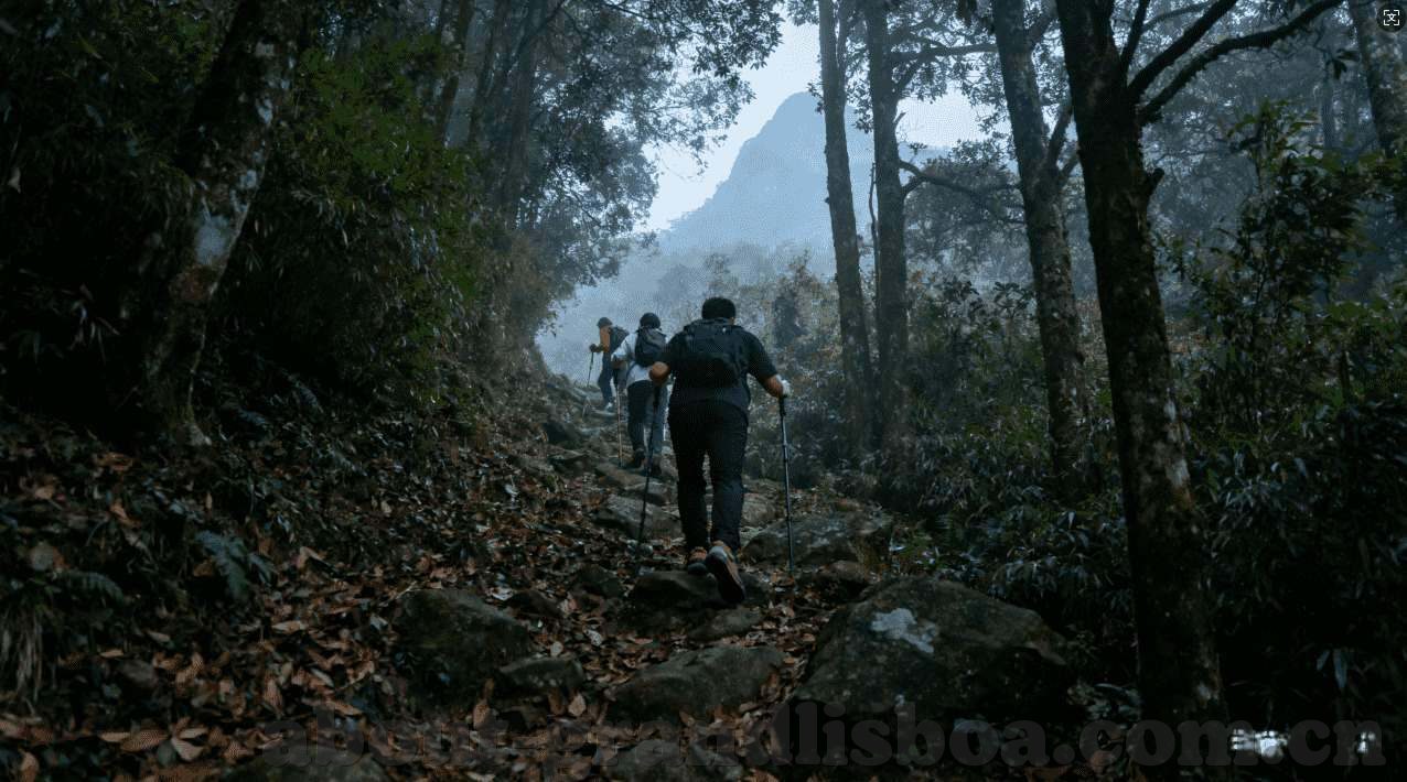 mk体育下载-MK体育下载，解锁体育赛事的新窗口
